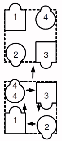 Walk and Dodge Circulatin Box