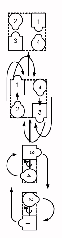 Linear Cycle